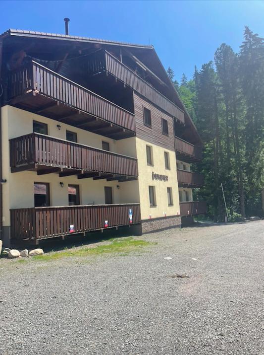 Apartment Anna Chopok, 1 110 M, Highest In Central Europe, On A Hiking Trail To Dumbier デマノブスカ・ドリーナ エクステリア 写真